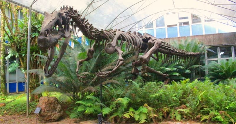 Foto do roteiro Museu de Geociências da USP
